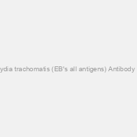 Chlamydia trachomatis (EB's all antigens) Antibody (FITC)